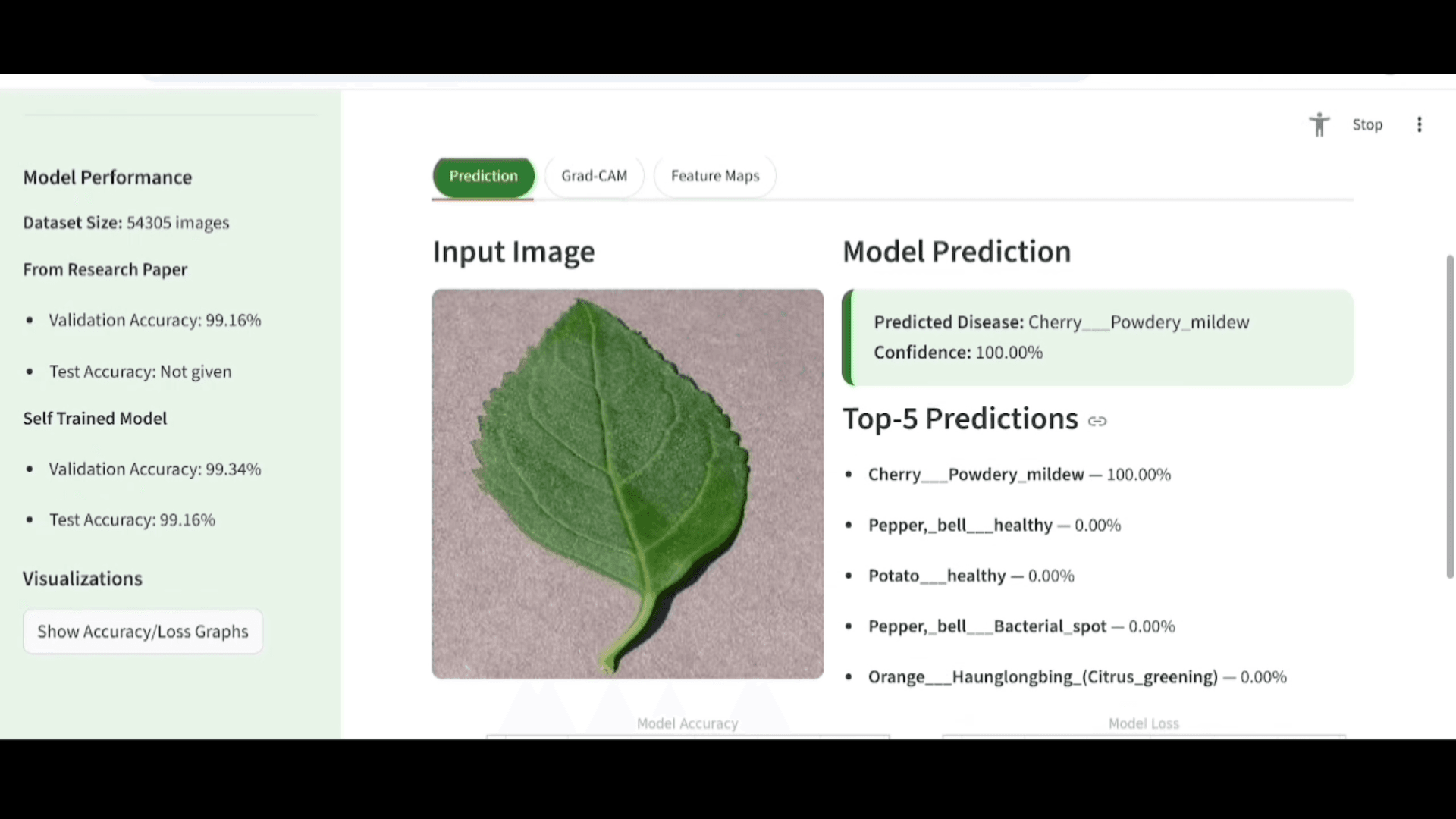 Streamlit plant disease classification app with uploaded leaf image